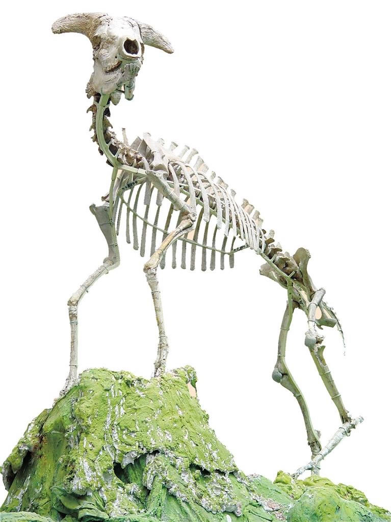 ��Լ����������ʹ�԰̽Ѱ�������� ������Ȼ����