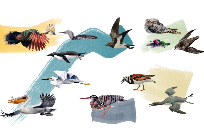 ��Ÿ�뵤���׾�Ȼ�ǽ��ף�����о�����д�̿���