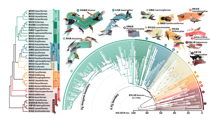 ��Ÿ�뵤���׾�Ȼ�ǽ��ף�����о�����д�̿���