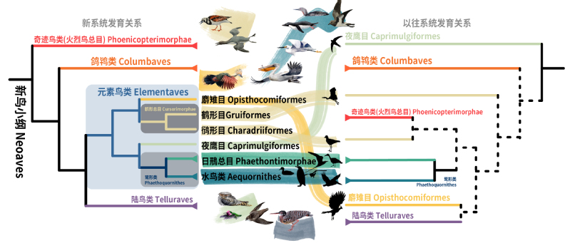 ��Ÿ�뵤���׾�Ȼ�ǽ��ף�����о�����д�̿���