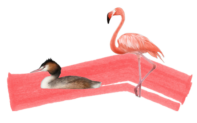 ��Ÿ�뵤���׾�Ȼ�ǽ��ף�����о�����д�̿���