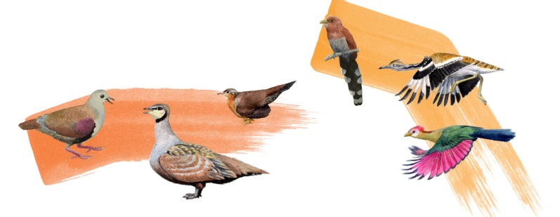 ��Ÿ�뵤���׾�Ȼ�ǽ��ף�����о�����д�̿���