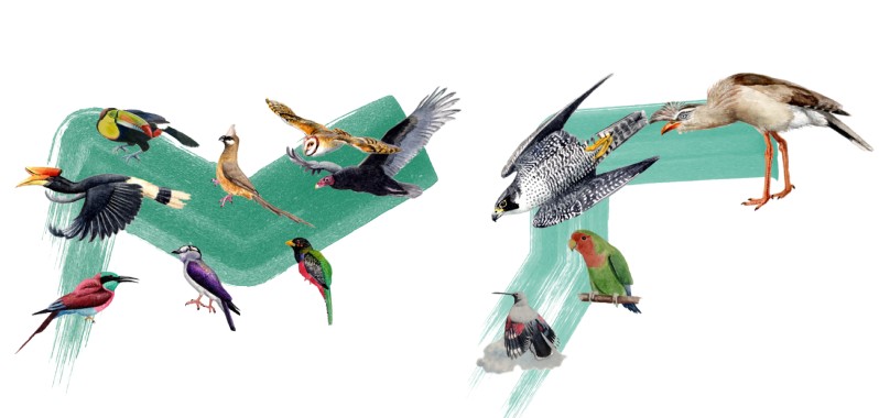 ��Ÿ�뵤���׾�Ȼ�ǽ��ף�����о�����д�̿���