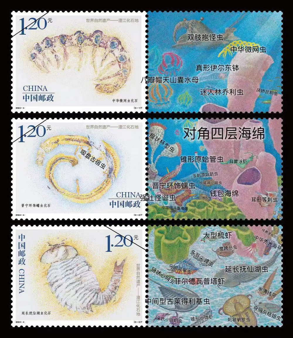 ԭ��ɺ��˵˵��������Ȼ�Ų������ν���ʯ�ء���Ʊ�����