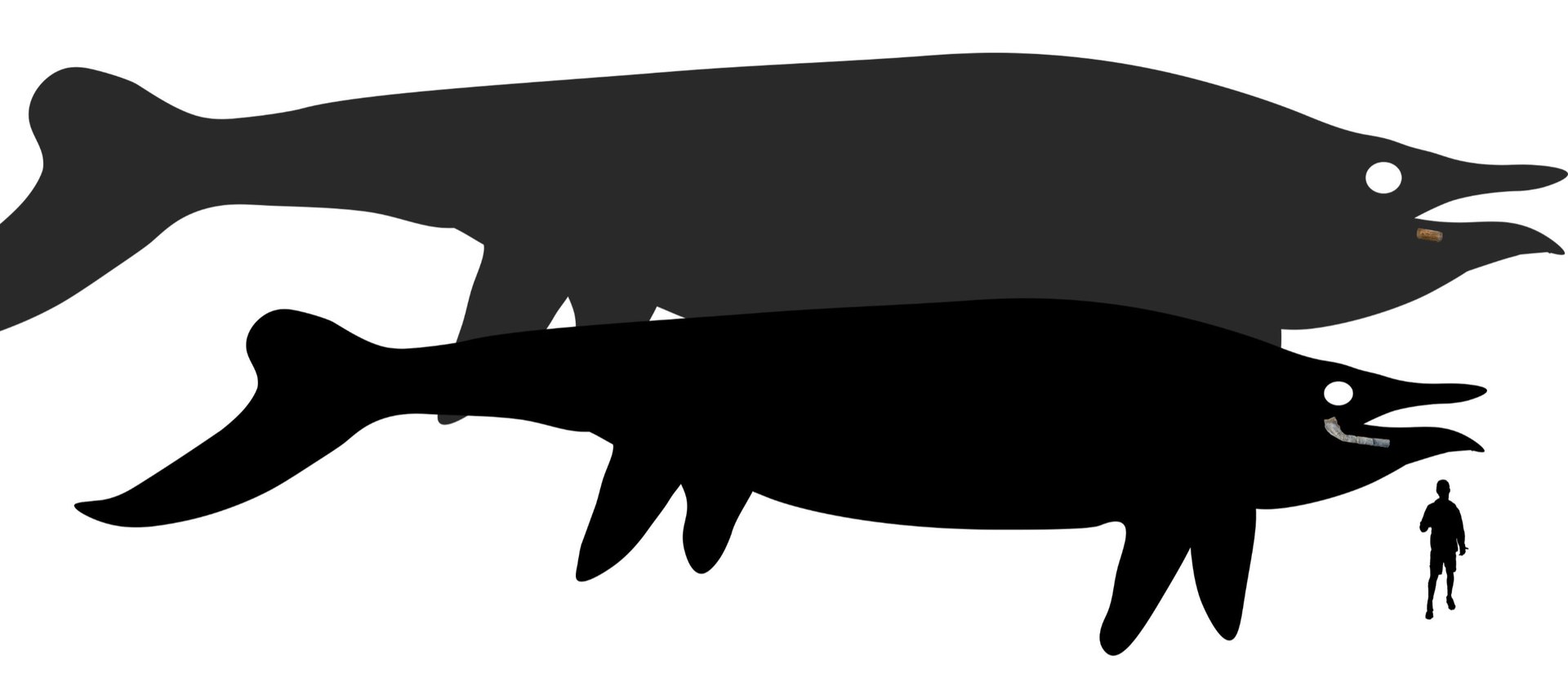 ���صĹ�ͷ�������ھ�������