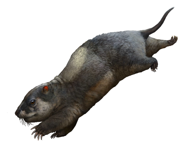 ���г������״������������� ��������٪�����������������ġ��ھӡ�