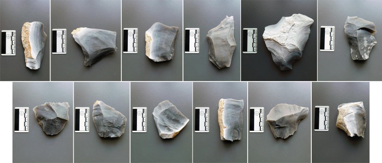 ����ά˹�˿���Ҳʹ�ÿ���ά˹�������׶���