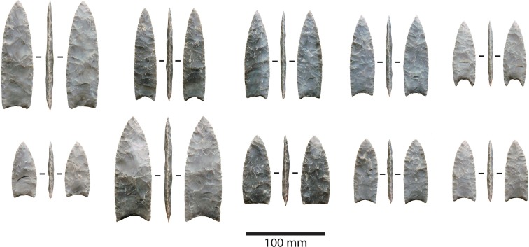 ����ά˹�˿���Ҳʹ�ÿ���ά˹�������׶���