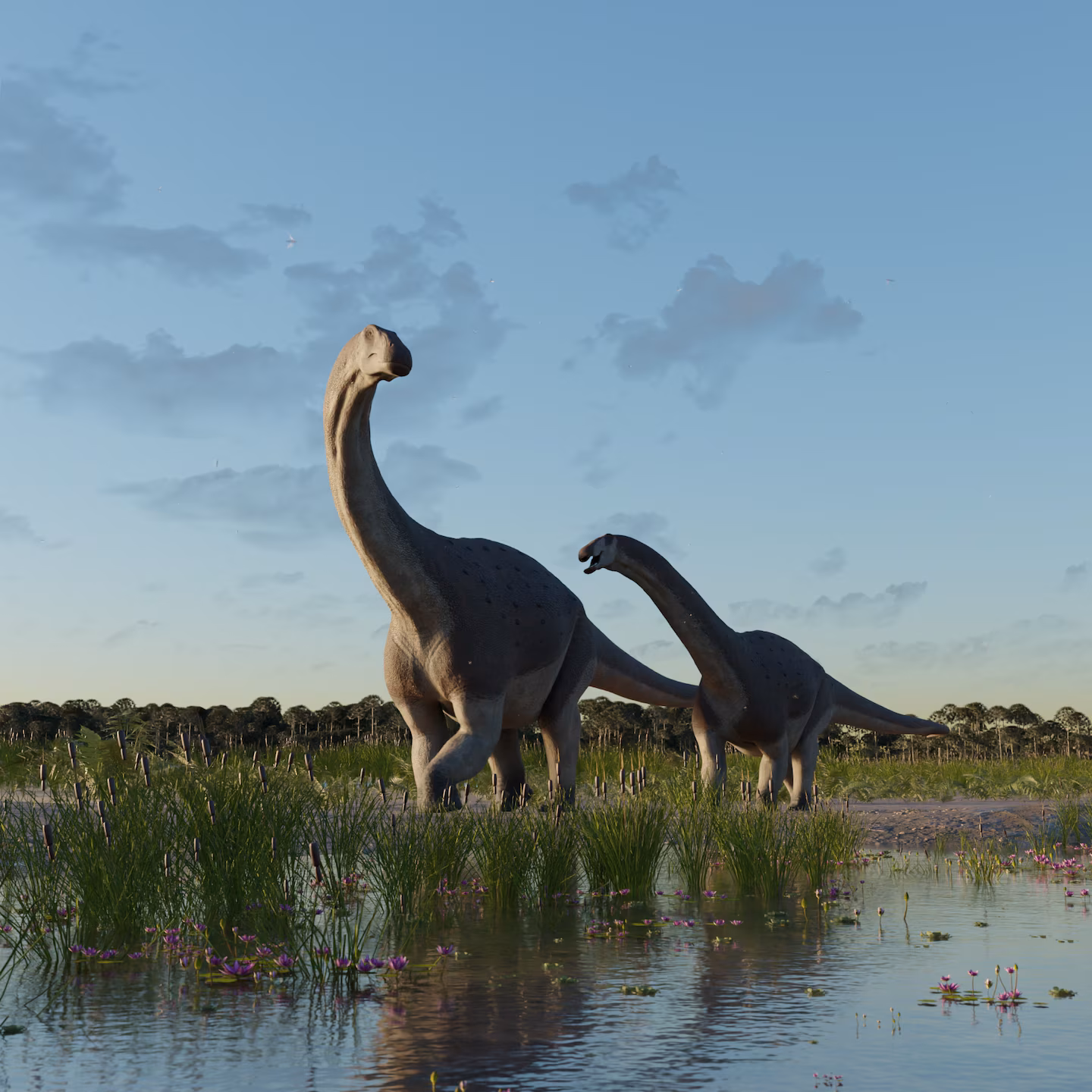 Titanomachya gimenezi:新化石揭示了有史以来发现的最小的泰坦巨龙之一