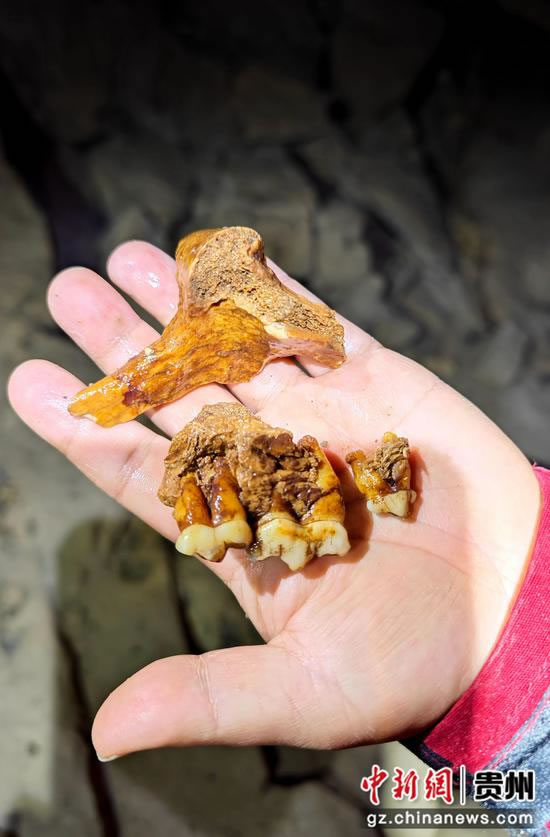 ����˫���ܶ��·���һ����è��ʯ�ż�