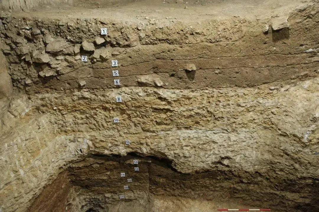 �������ݷ�����ַ����ȡ����Ҫ�ջ�