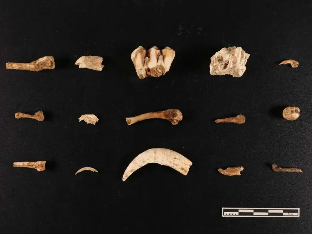 �������ݷ�����ַ����ȡ����Ҫ�ջ�