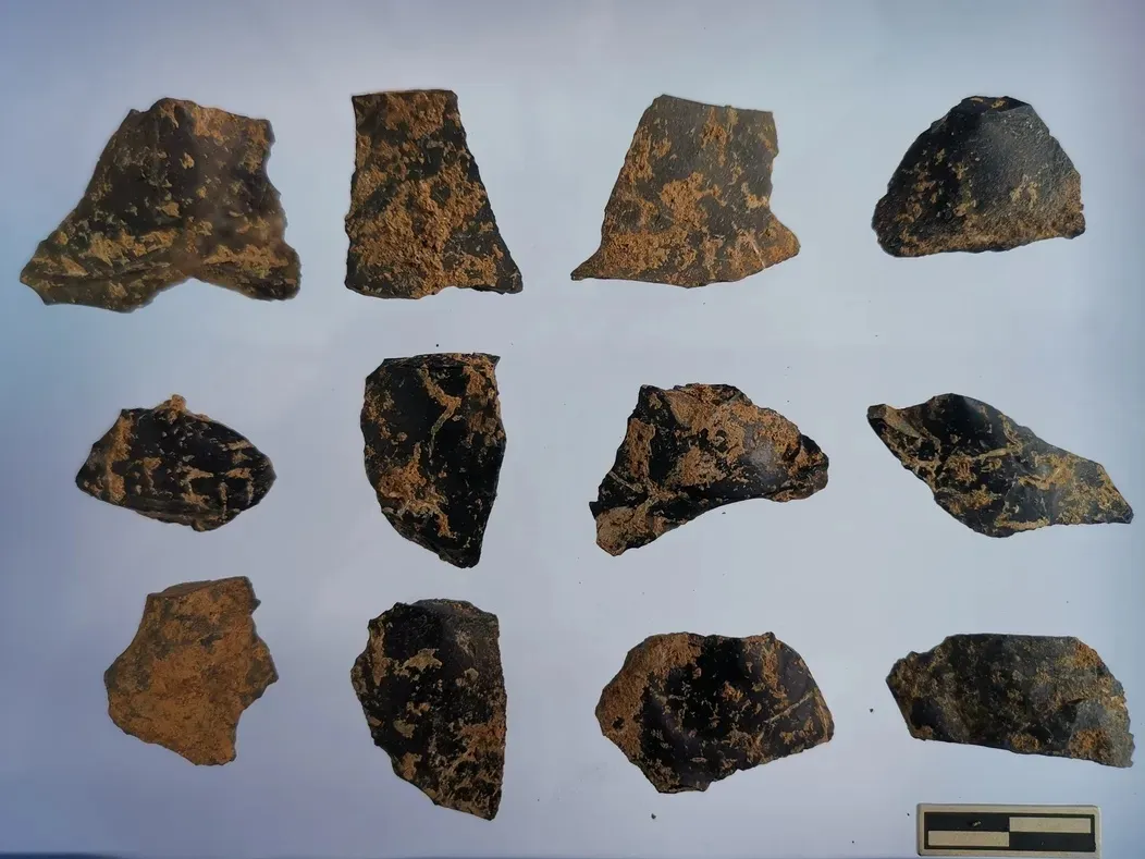 �������ݷ�����ַ����ȡ����Ҫ�ջ�