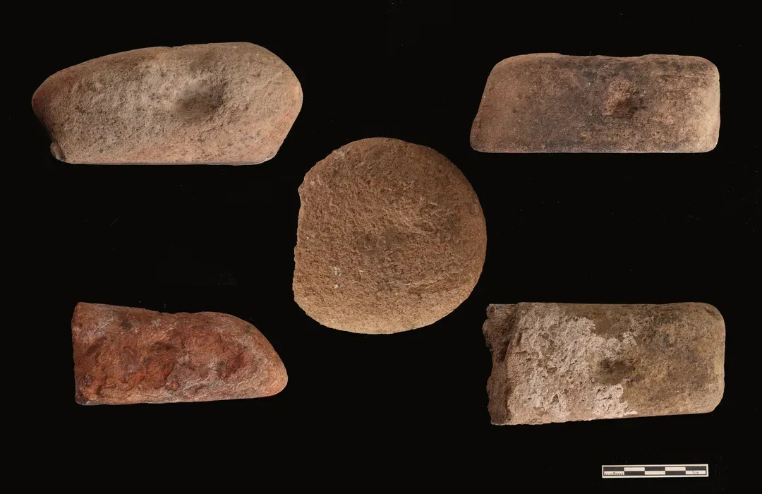 �������ݷ�����ַ����ȡ����Ҫ�ջ�