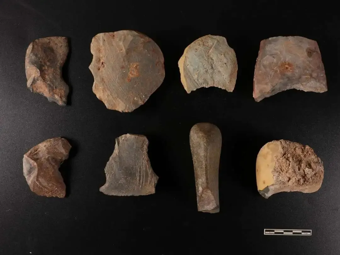 �������ݷ�����ַ����ȡ����Ҫ�ջ�