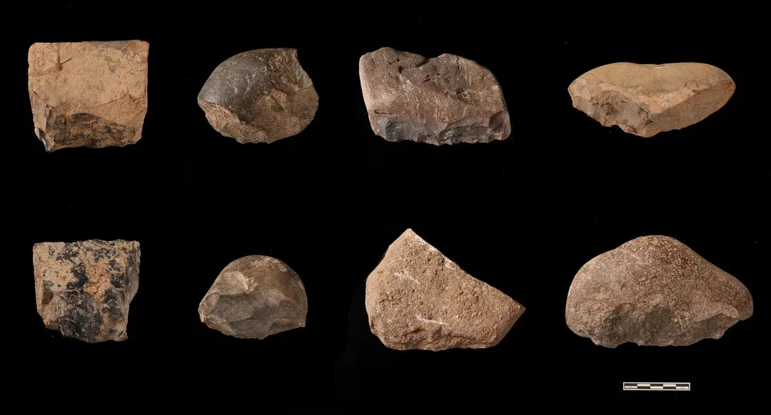 �������ݷ�����ַ����ȡ����Ҫ�ջ�