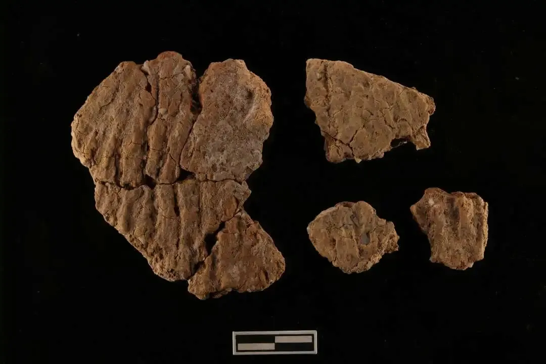 �������ݷ�����ַ����ȡ����Ҫ�ջ�