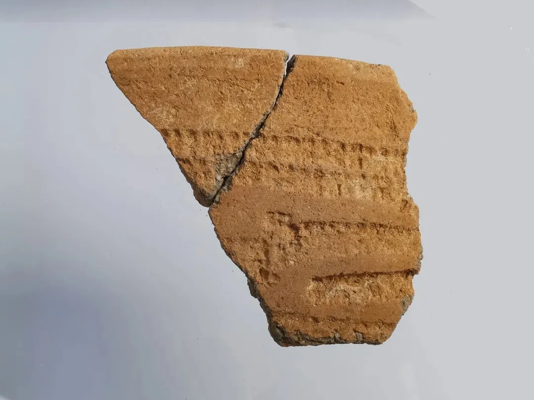 �������ݷ�����ַ����ȡ����Ҫ�ջ�