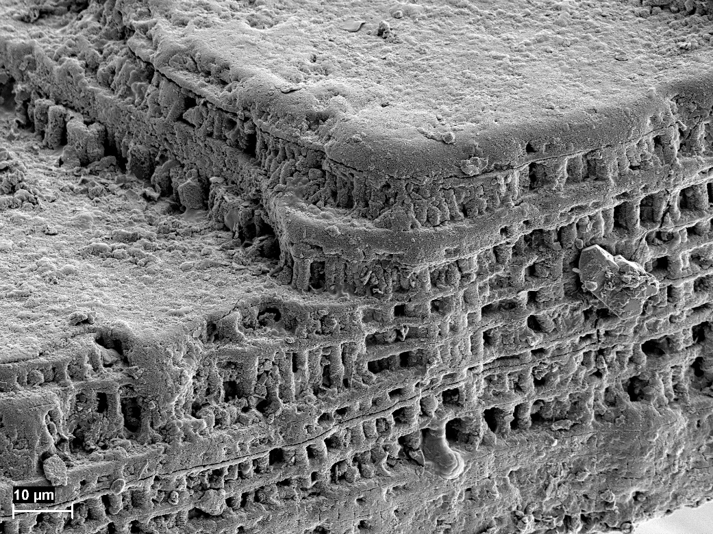 �������ʿ����㶯����״�ṹ�������