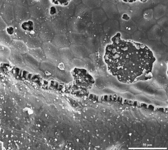 �������ʿ����㶯����״�ṹ�������