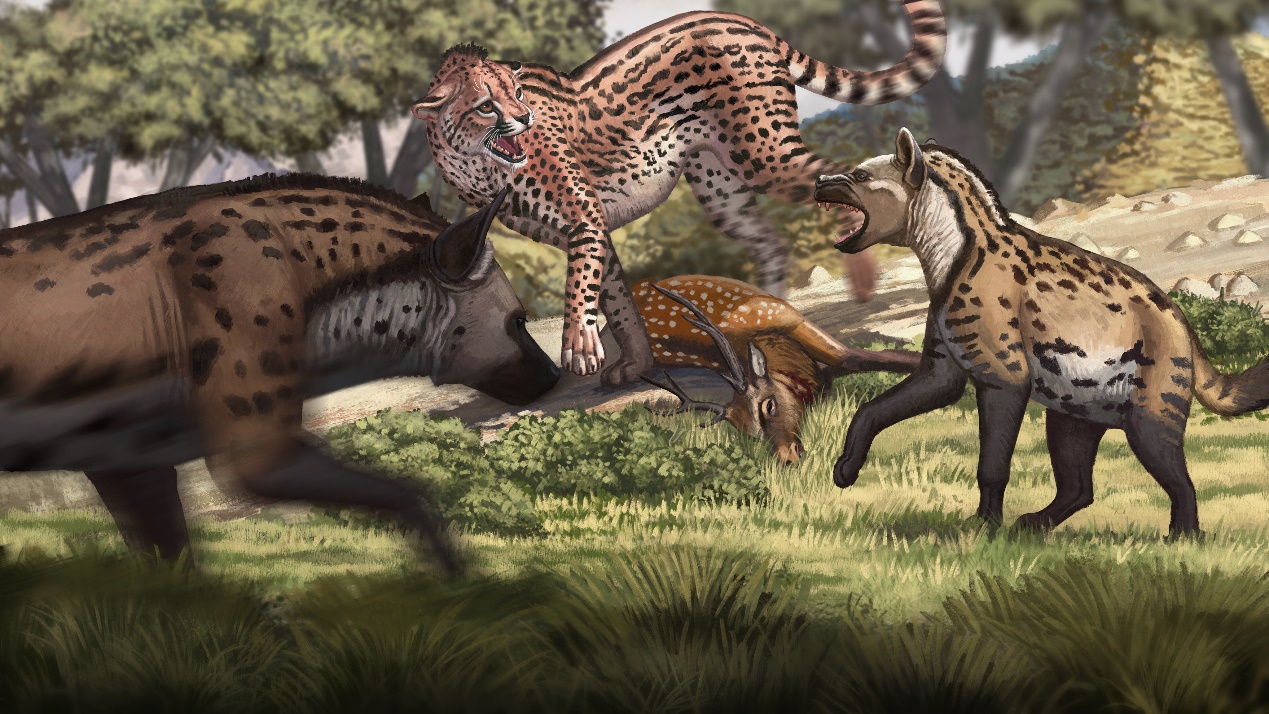 �����ܿڵ�ʹ�������ɽ��Զ�������Ա���ʯ�²��Ͻ�ʾ�Ա���ŷ�Ǵ�½���ݻ�����