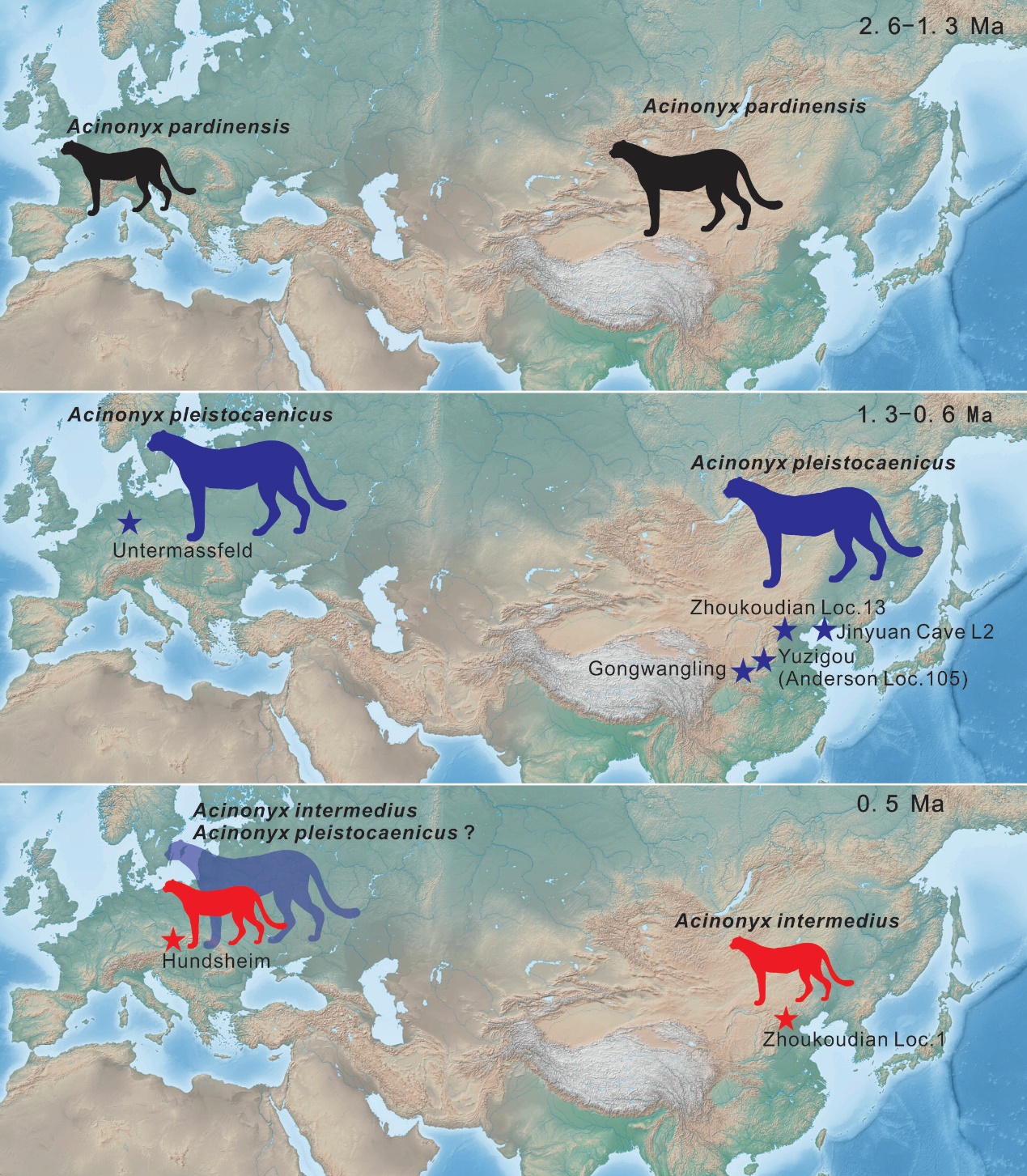 �����ܿڵ�ʹ�������ɽ��Զ�������Ա���ʯ�²��Ͻ�ʾ�Ա���ŷ�Ǵ�½���ݻ�����