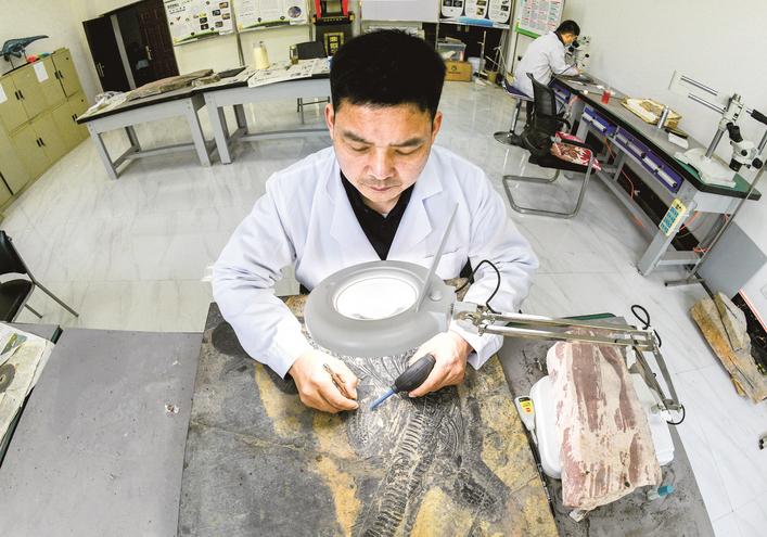 ����������