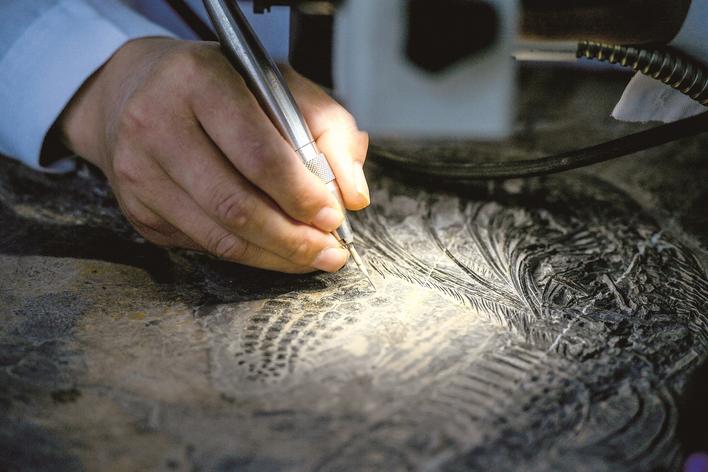 ����������