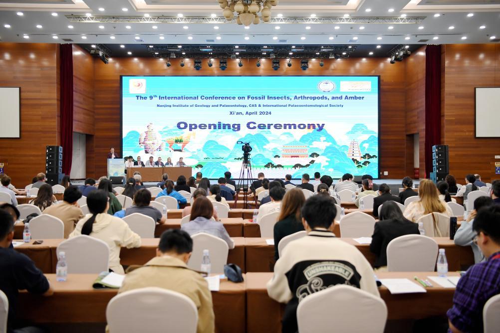 20���ר������̽ѰԶ������㼣��