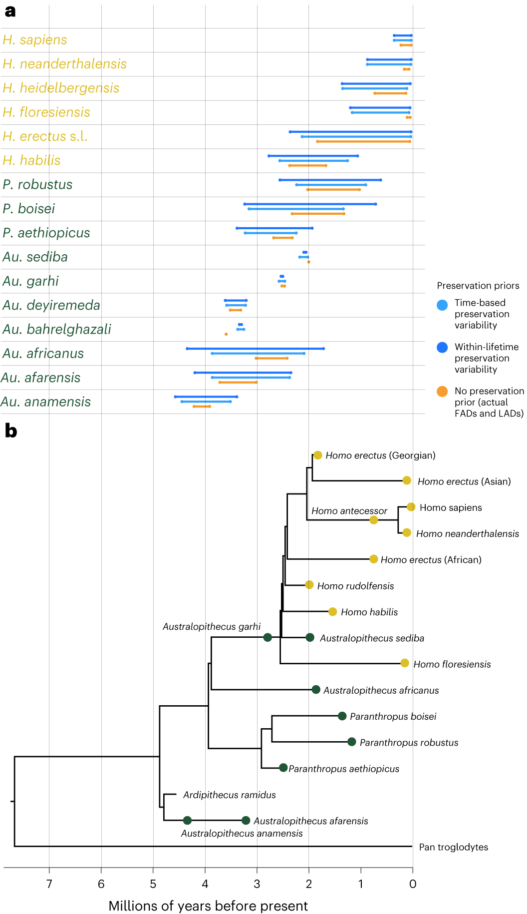 剑桥研究表明物种间的竞争极大地影响了类人猿的进化轨迹