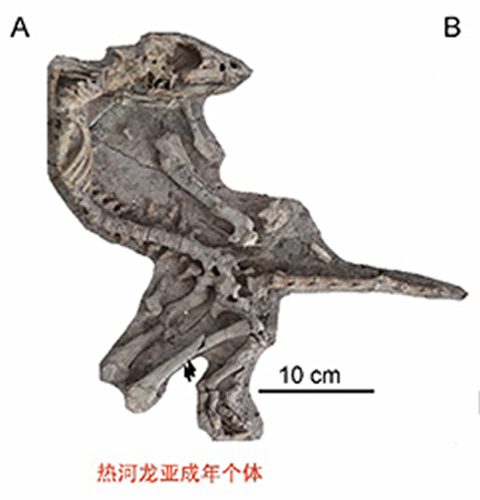 �ҹ�������ѧ�߽ҿ�������������ݽ���֮��