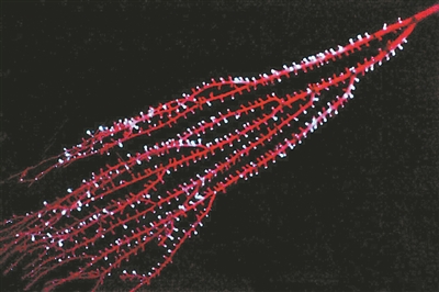 5�ڶ���ǰ�����ѽ������������� ��֮ǰ��֪��ǰ��3����