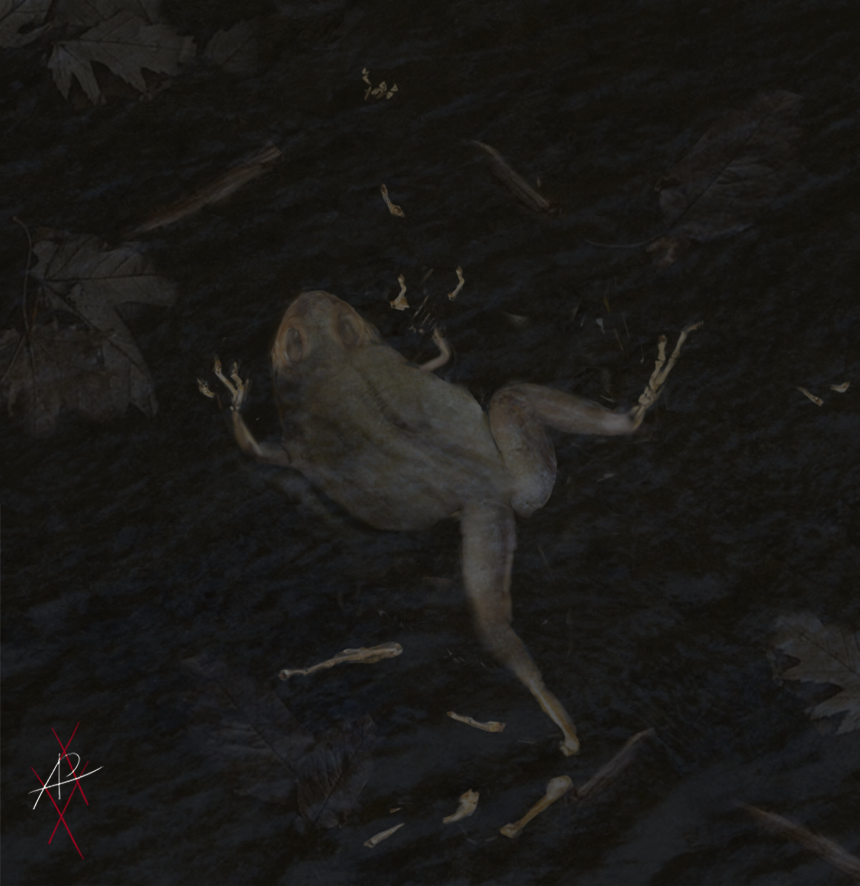 һЩ���ܻ�ʯ����α������ǵ����ʲ��ֵģ���һ�ж�ȡ�������ǵ�Ƥ��