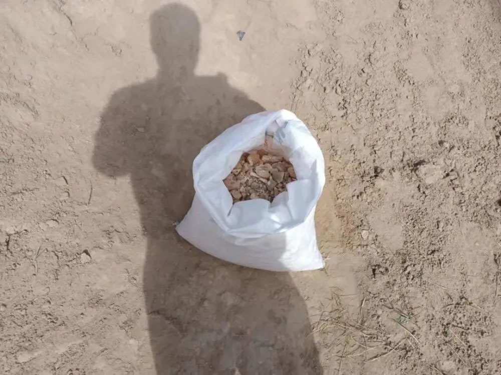 宁夏三男子盗掘国家保护的古脊椎动物化石19公斤,被提起公诉