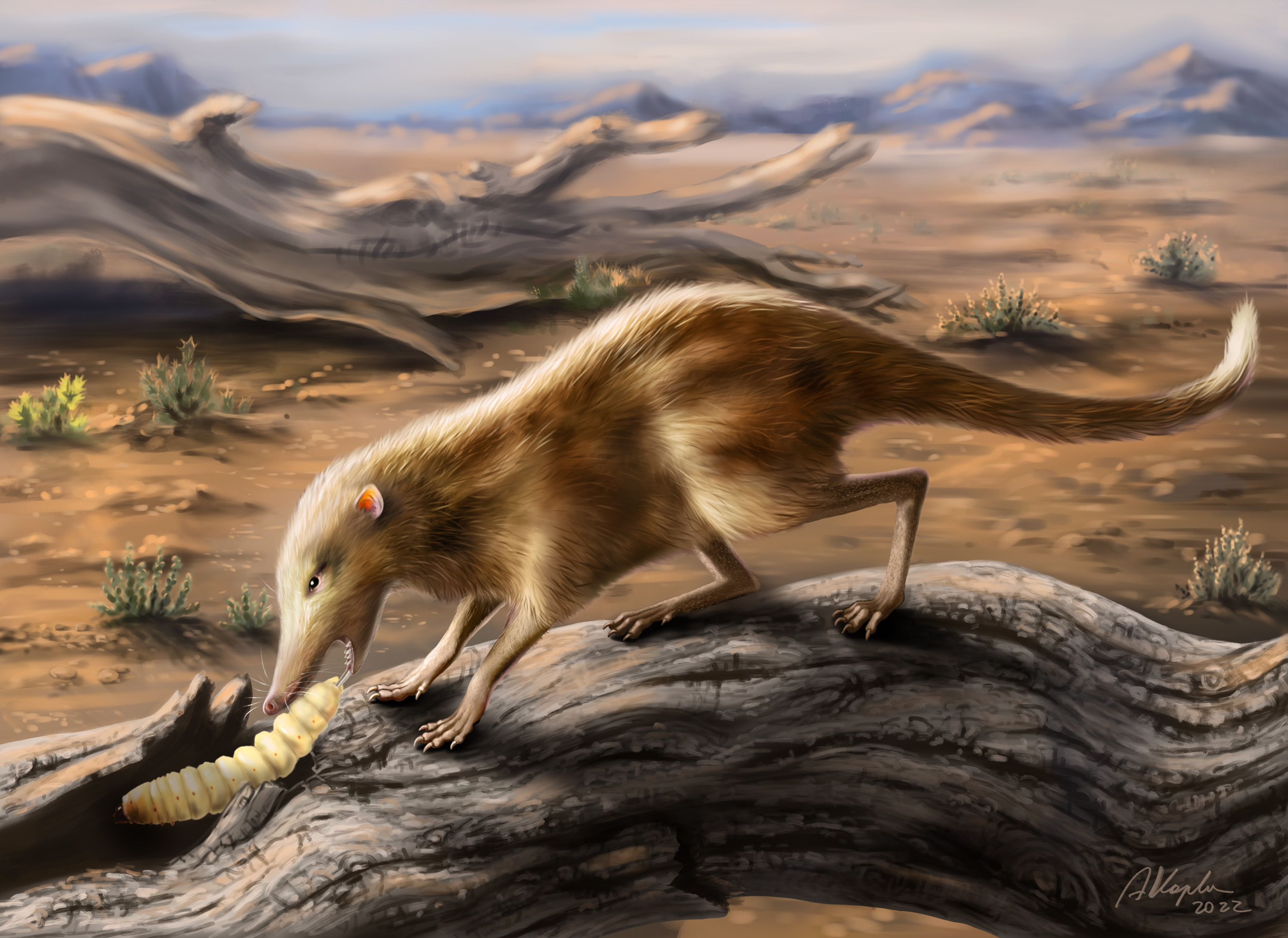 白垩纪晚期真兽类独特的颈部形态