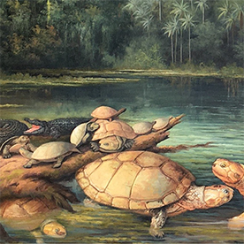 ױǰ˹ɽ5700ǰ޹껯ʯ