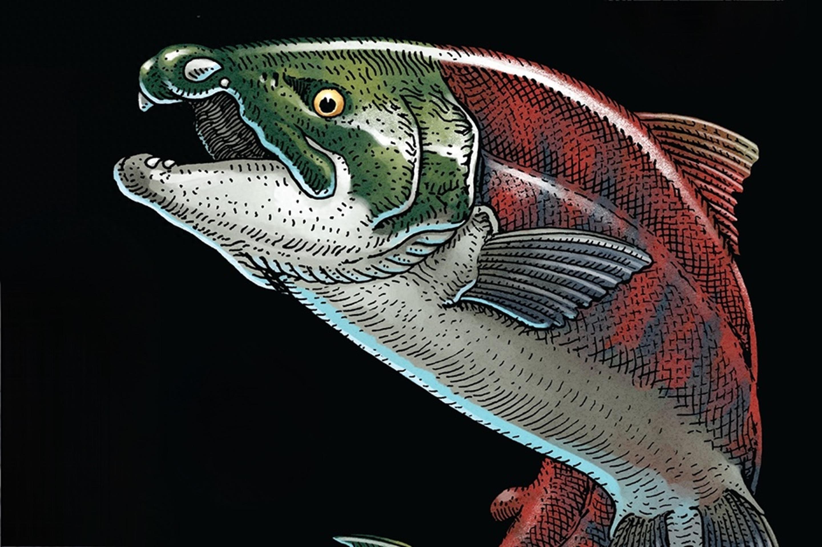 ����ʷǰ���㳤�š�������һ���������