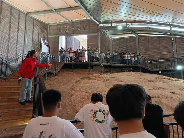 十堰郧阳恐龙蛋化石群国家地质公园掀起古生物“研学热”