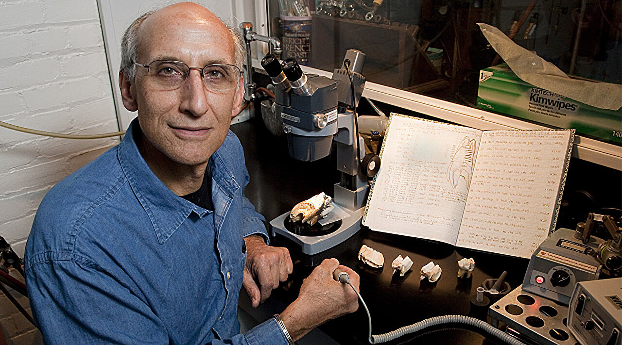 �о���������ظ�ԭ�����ά�ȱ���ǰ�����Ҫ��