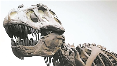 ������������֮ǰ��Ϊ����������