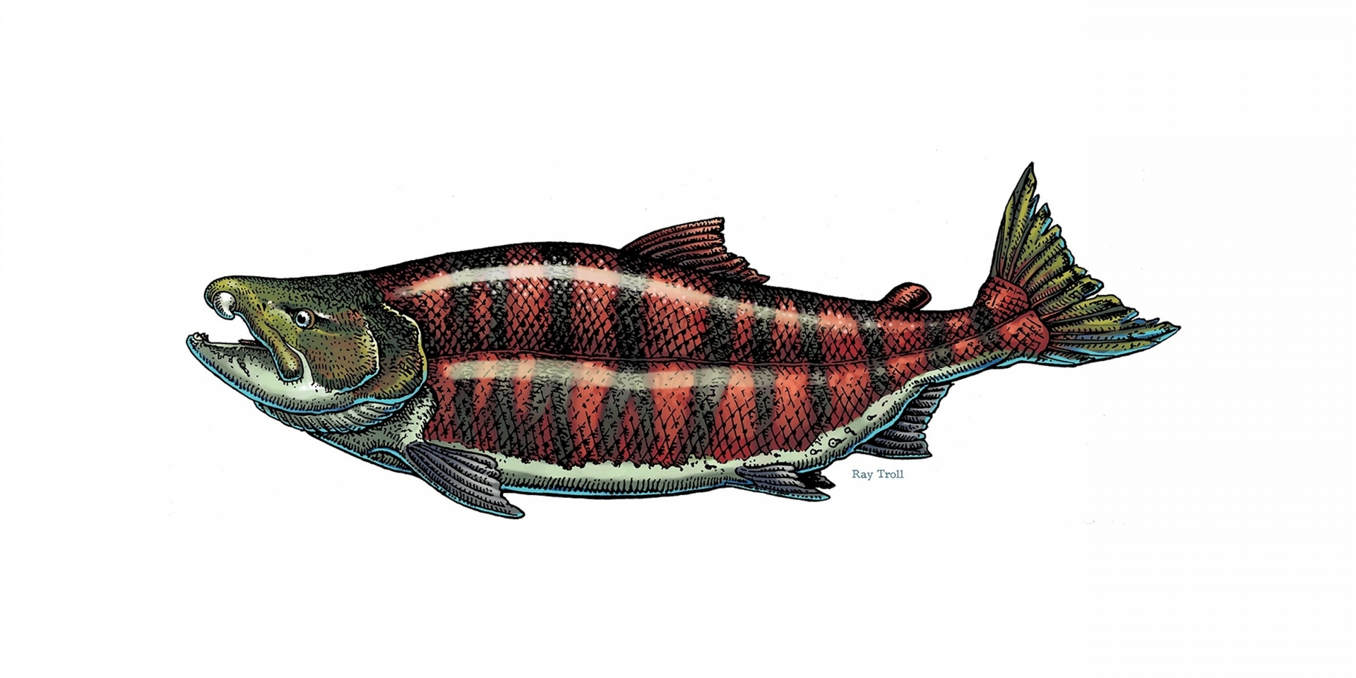 ����2.4�׳��ġ����ݡ��ٸ�����ԭ������Ĳ�̫һ��