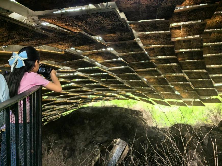 �򿨡������ˡ���ַ �������ꡰ���족����ѧС����̽���ܿڵ���ҿ�����ַ��԰