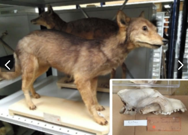 �ձ����������š�������������Դ���ձ��ǣ�