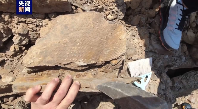 ֲҲܳۡɽȪִľ໯ʯ