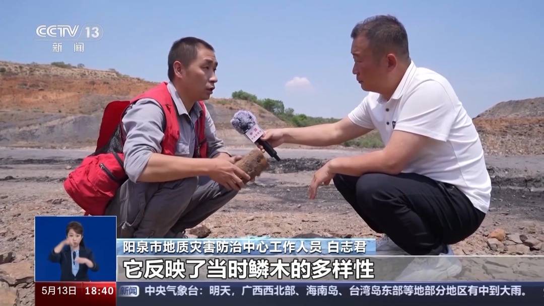 3.1����ǰ��ľ��ʯȺ ����һ�Ѵ�ֲ�����ܵġ�Կ�ס�