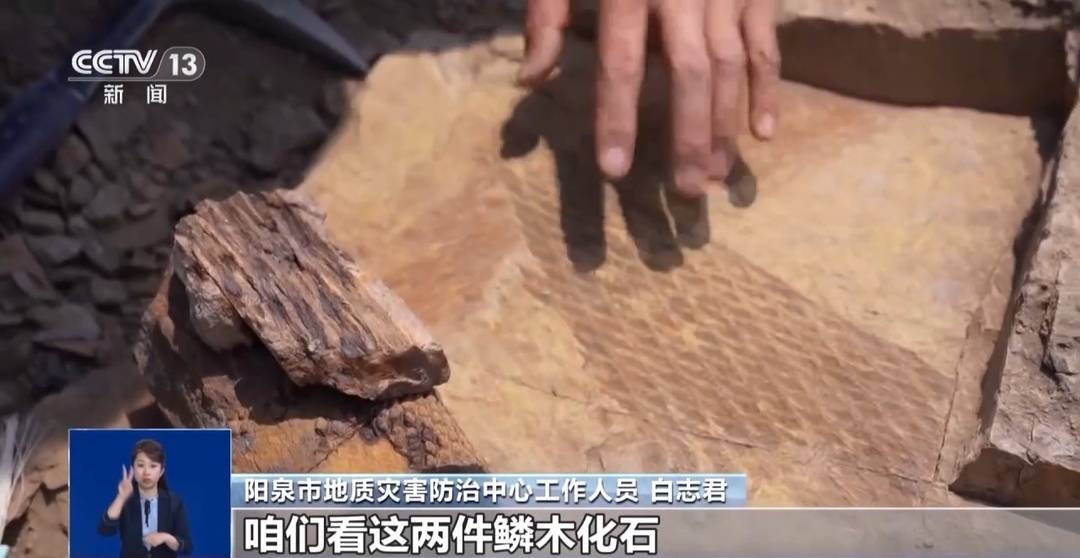 3.1����ǰ��ľ��ʯȺ ����һ�Ѵ�ֲ�����ܵġ�Կ�ס�