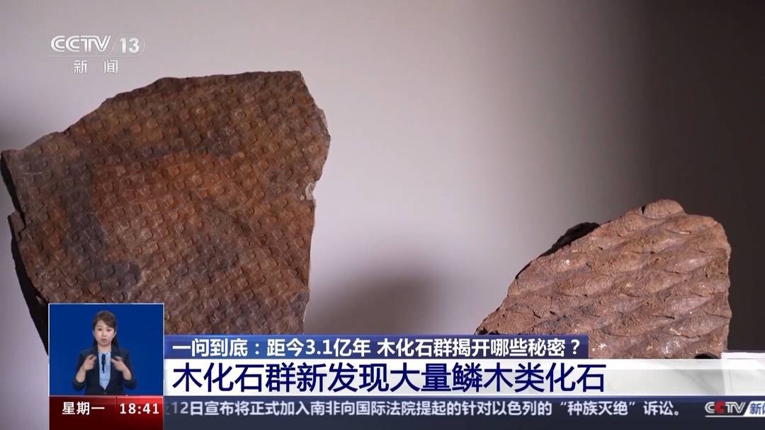 3.1����ǰ��ľ��ʯȺ ����һ�Ѵ�ֲ�����ܵġ�Կ�ס�