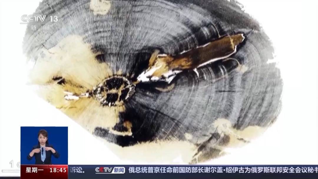 3.1����ǰ��ľ��ʯȺ ����һ�Ѵ�ֲ�����ܵġ�Կ�ס�