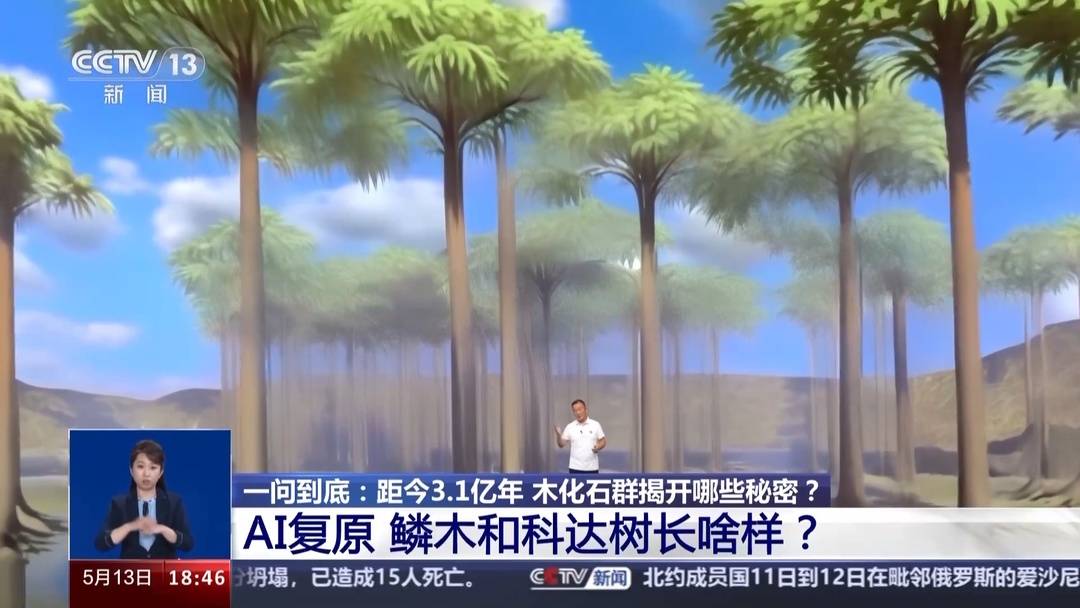 3.1����ǰ��ľ��ʯȺ ����һ�Ѵ�ֲ�����ܵġ�Կ�ס�