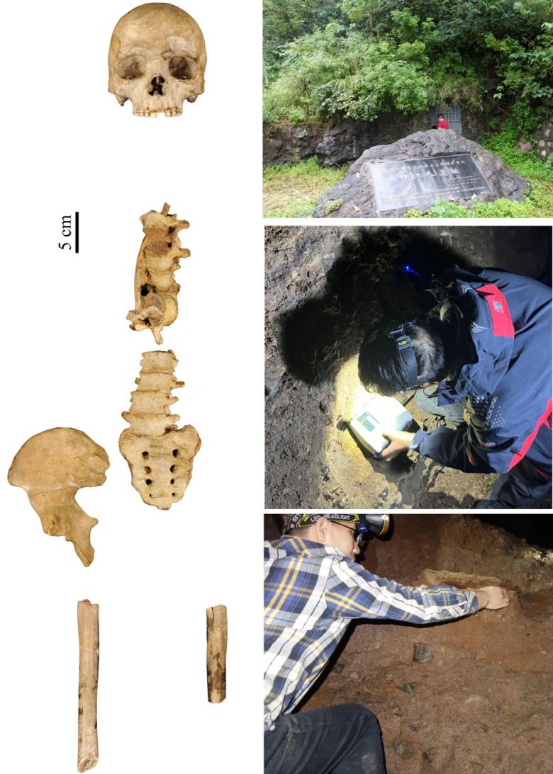 距今3.3万年至2.3万年 时隔66年“柳江人”生活年代被锁定